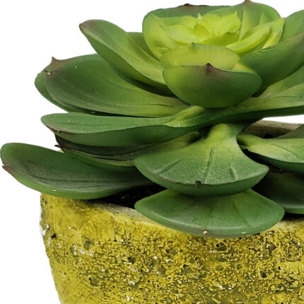 4" Green Succulent Artificial Succulent in a White And Yellow Pot - Image 3