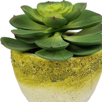 4" Green Succulent Artificial Succulent in a White And Yellow Pot - Image 4