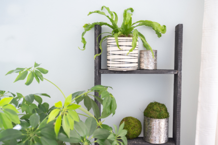 4 Step Blackwash Rustic Wood Ladder Shelf - Image 5
