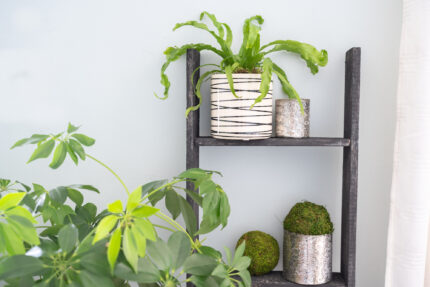 4 Step Rustic Black Wood Ladder Shelf - Image 4