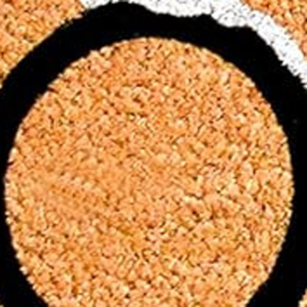 17" X 29" Natural Black and White Coir Happy Holidays Outdoor Christmas Door Mat - Image 5