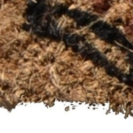 18" X 30" Brown and Black Coir Nice Underwear Outdoor Door Mat - Image 3