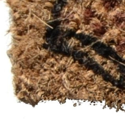 18" X 30" Brown and Black Coir Nice Underwear Outdoor Door Mat - Image 4